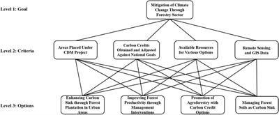 AHP Analyser: A decision-making tool for prioritizing climate change mitigation options and forest management